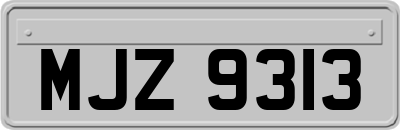 MJZ9313