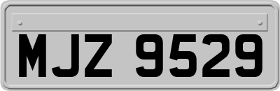 MJZ9529