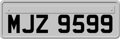 MJZ9599