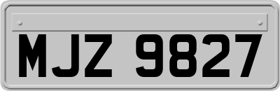 MJZ9827