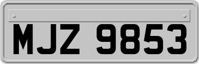 MJZ9853