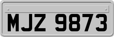 MJZ9873