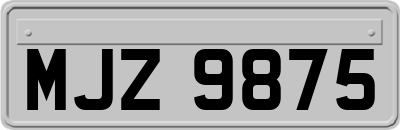 MJZ9875