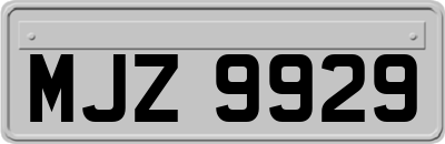 MJZ9929