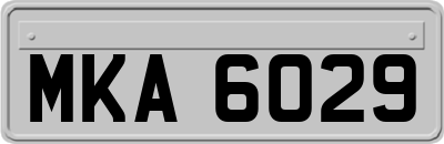MKA6029