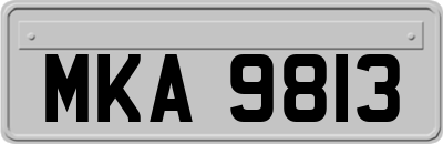 MKA9813