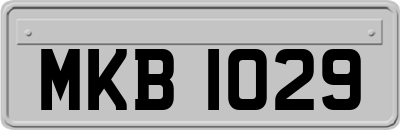 MKB1029