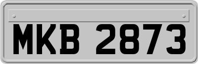 MKB2873