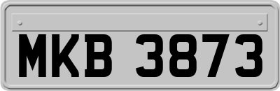 MKB3873