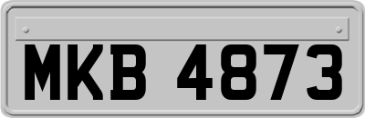MKB4873