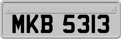 MKB5313