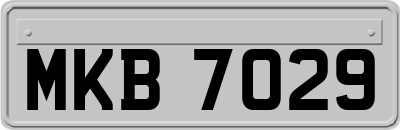 MKB7029