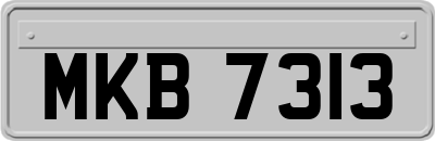 MKB7313
