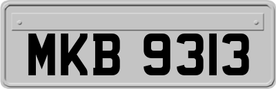 MKB9313