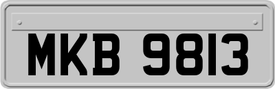MKB9813