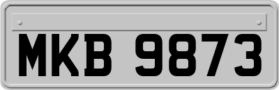 MKB9873