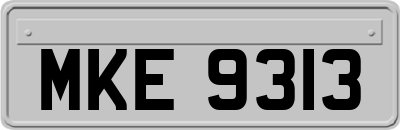 MKE9313