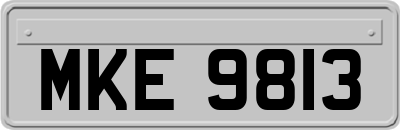 MKE9813