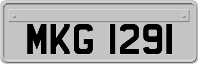MKG1291