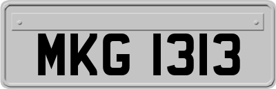 MKG1313
