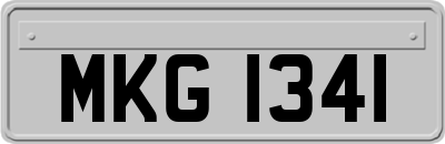 MKG1341