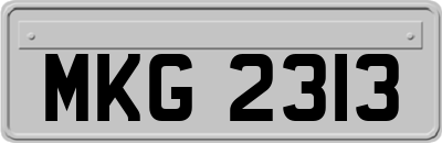 MKG2313