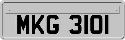 MKG3101