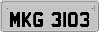MKG3103