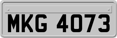 MKG4073