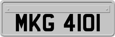 MKG4101