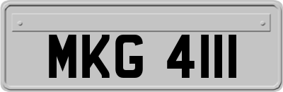 MKG4111