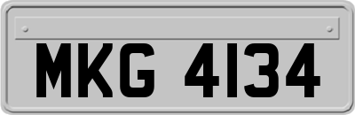 MKG4134