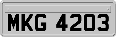 MKG4203