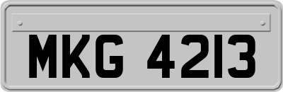 MKG4213