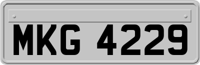 MKG4229