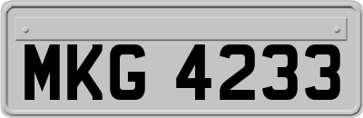MKG4233