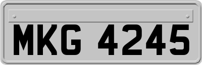 MKG4245