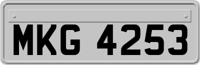 MKG4253