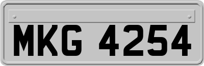 MKG4254
