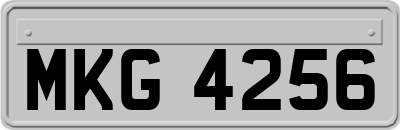 MKG4256