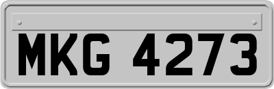 MKG4273