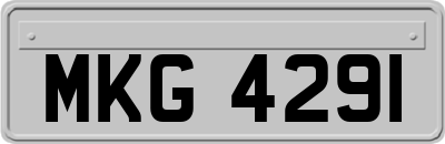MKG4291