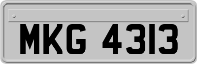 MKG4313