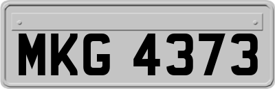 MKG4373