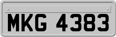 MKG4383