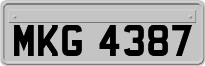 MKG4387
