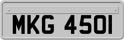 MKG4501