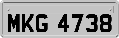 MKG4738