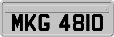 MKG4810