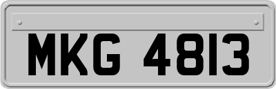 MKG4813